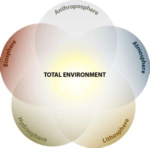 science of the total environment abbreviation|Guide for authors .